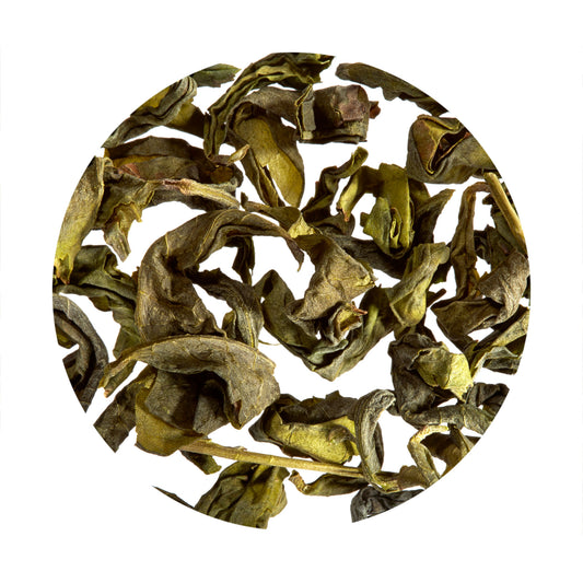五ヶ瀬烏龍茶