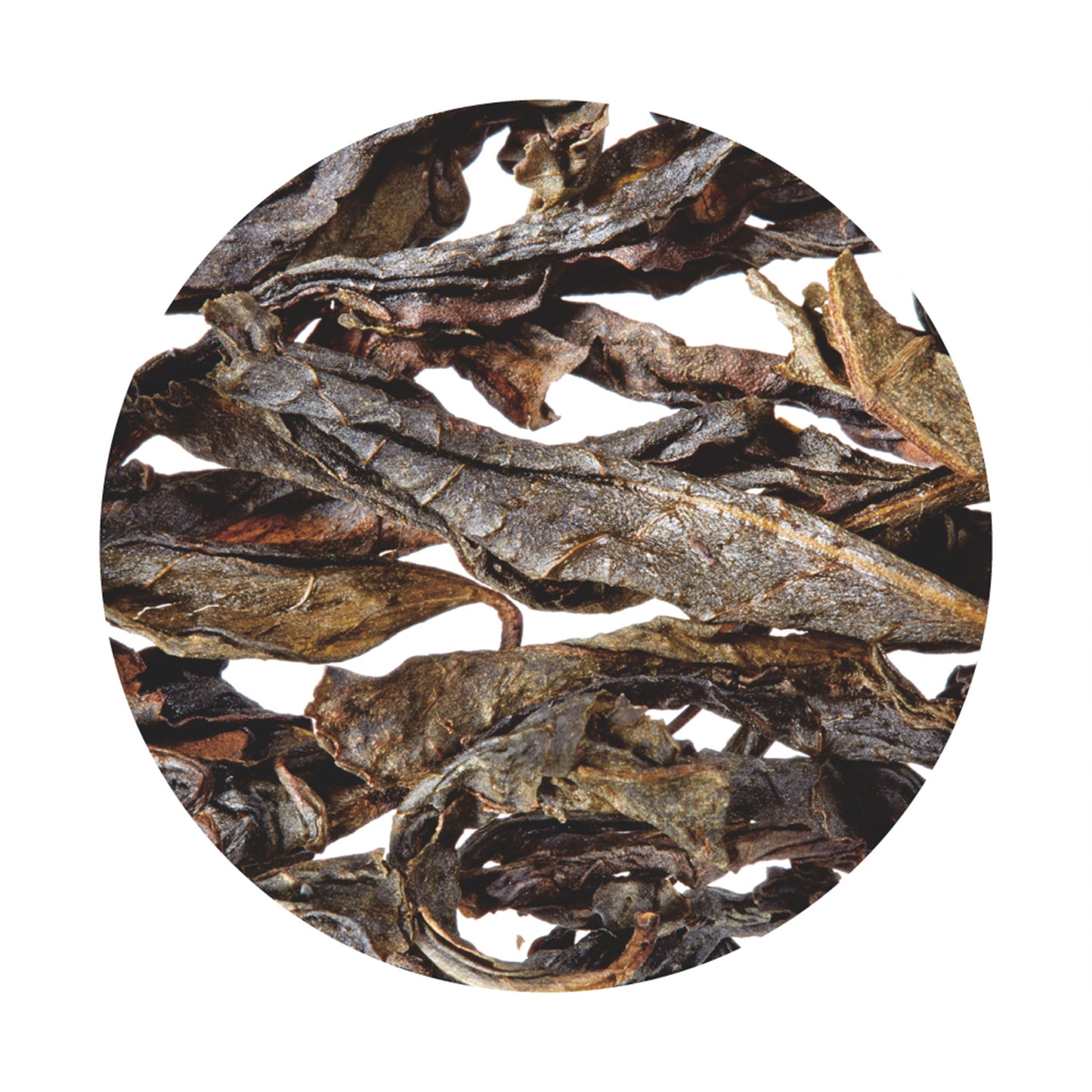 Phoenix Oolong