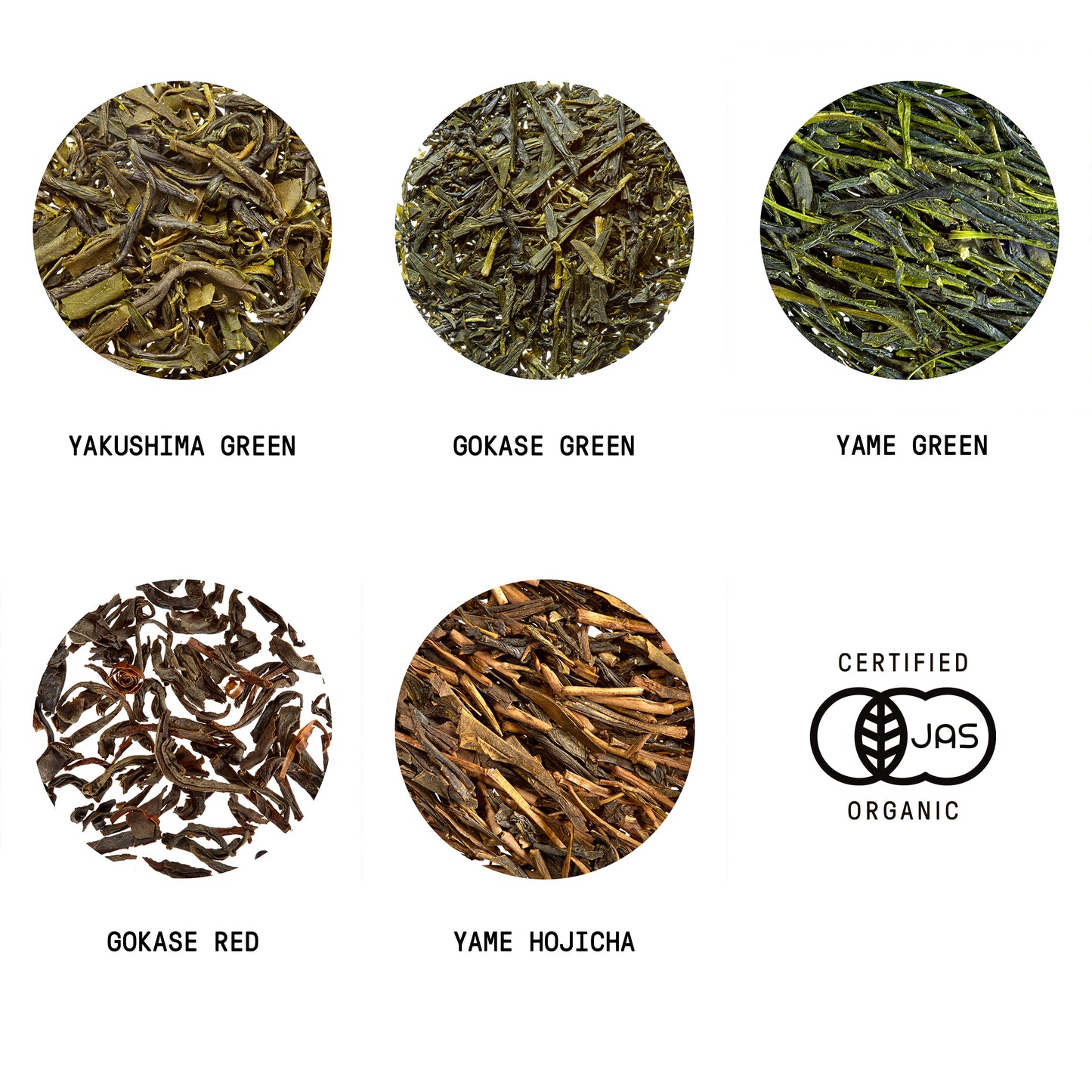 RAVE 001: Japanese Classics