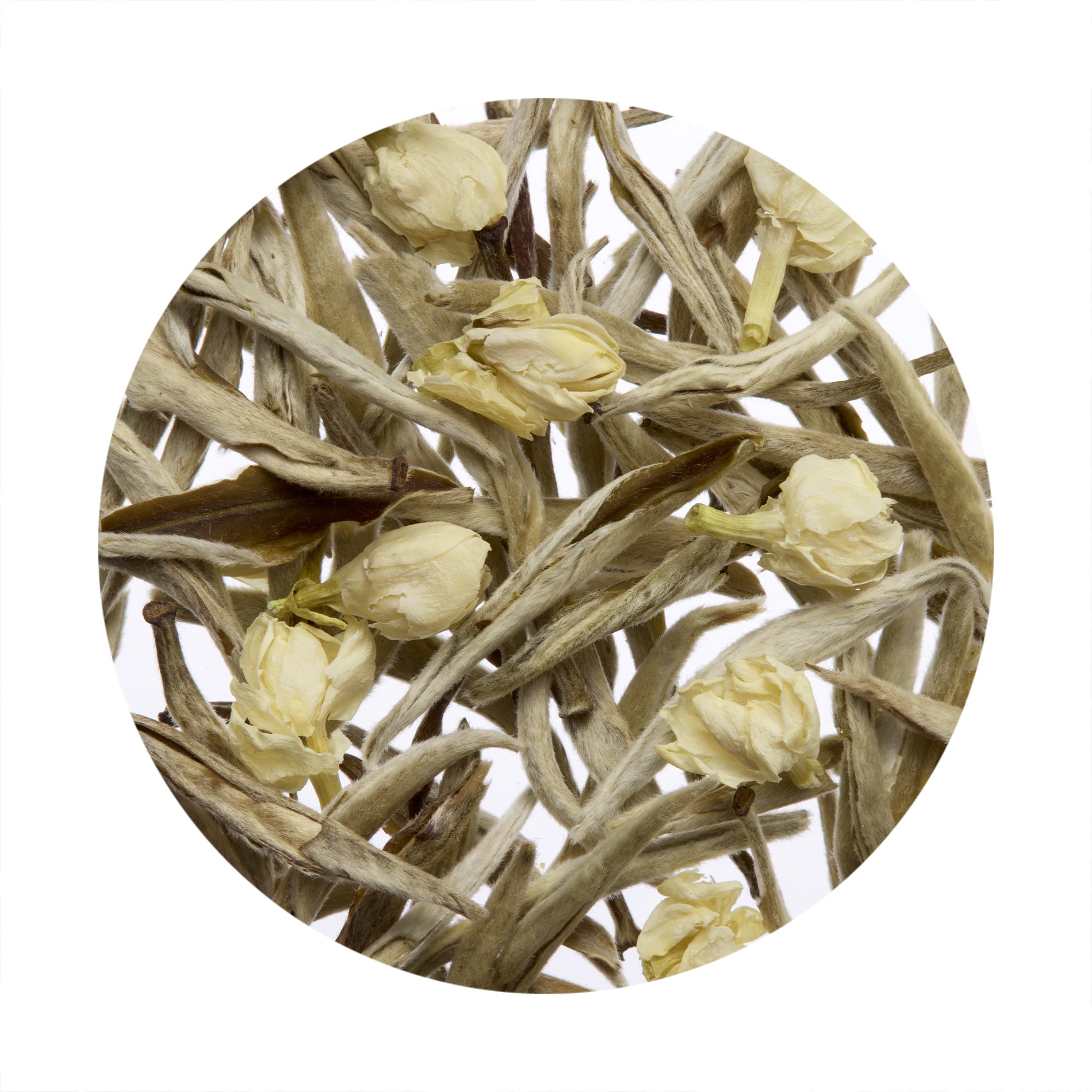 Green Silver Rave Yunnan Jasmine Silver โ RAVE